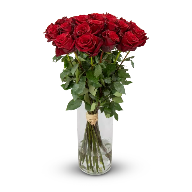 bouquet of Ecuadorian roses 80cm